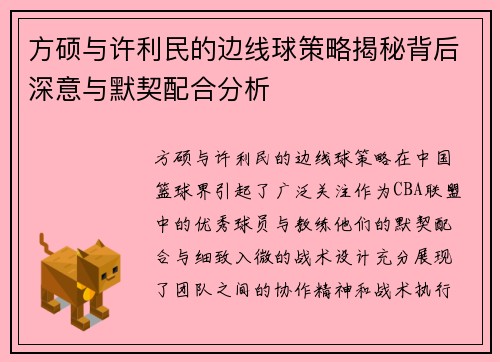 方硕与许利民的边线球策略揭秘背后深意与默契配合分析 方硕与许利民的边线球策略揭秘背后深意与默契配合分析